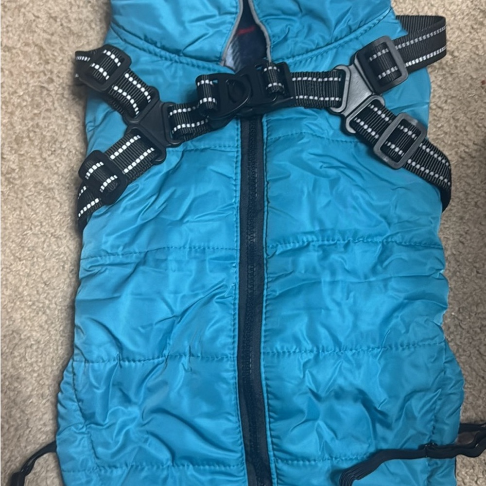 Blue Dog Travel Carrier Vest